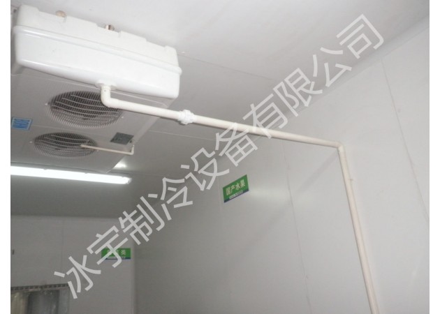 双侧出风冷风机